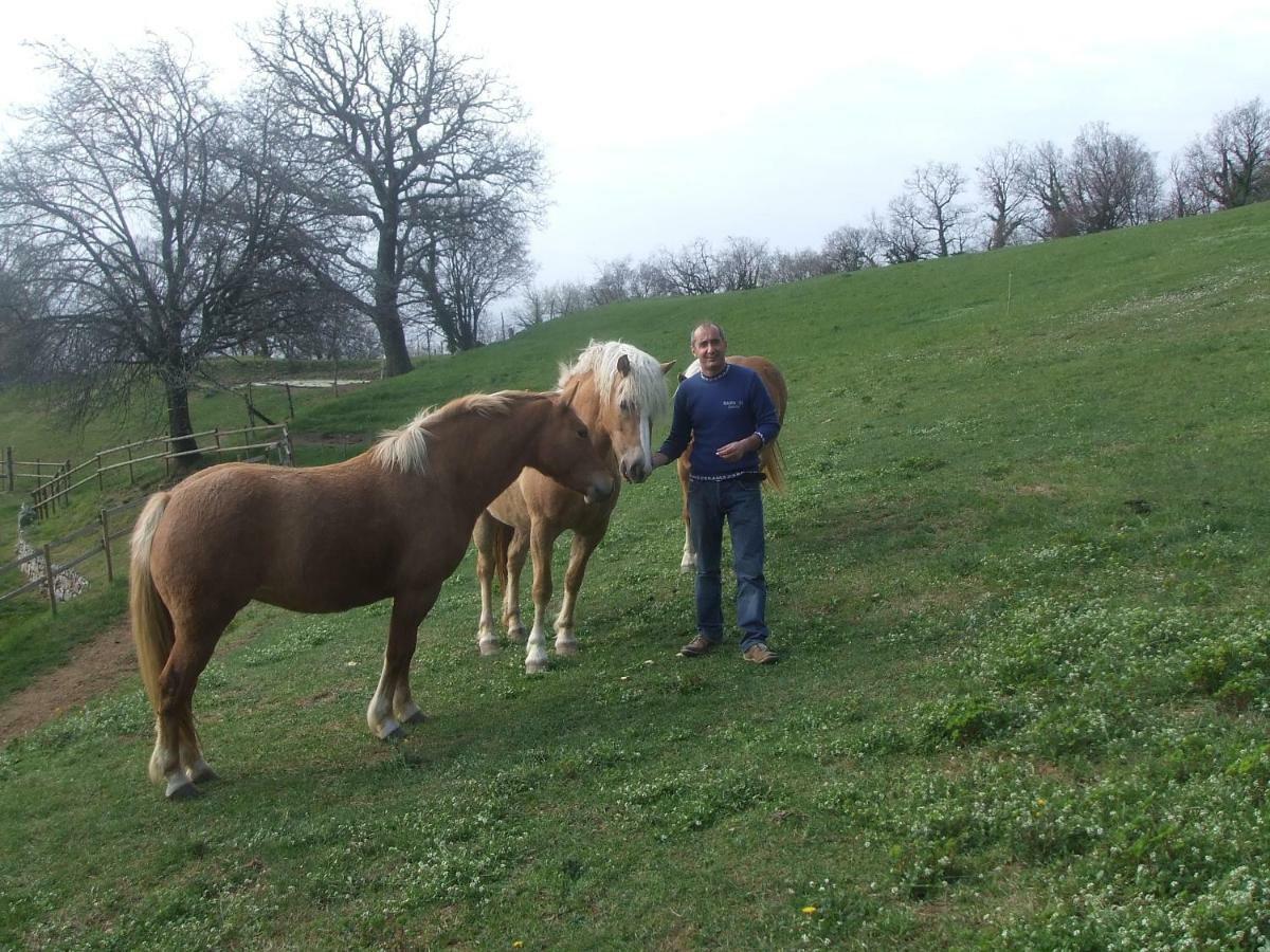 Agriturismo Lusani Caprino Veronese Buitenkant foto